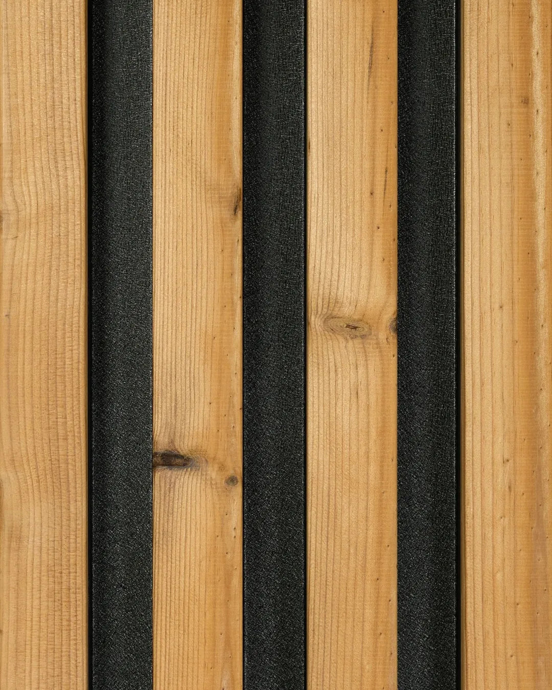 Tronco Verticale