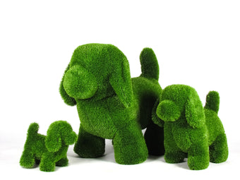 compare product Cane in erba sintetica