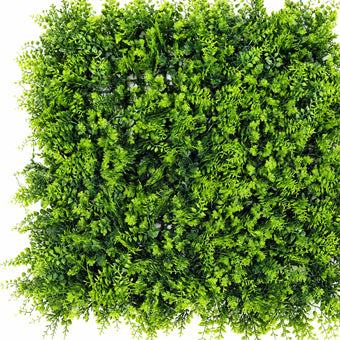compare product Edera Torrenziale