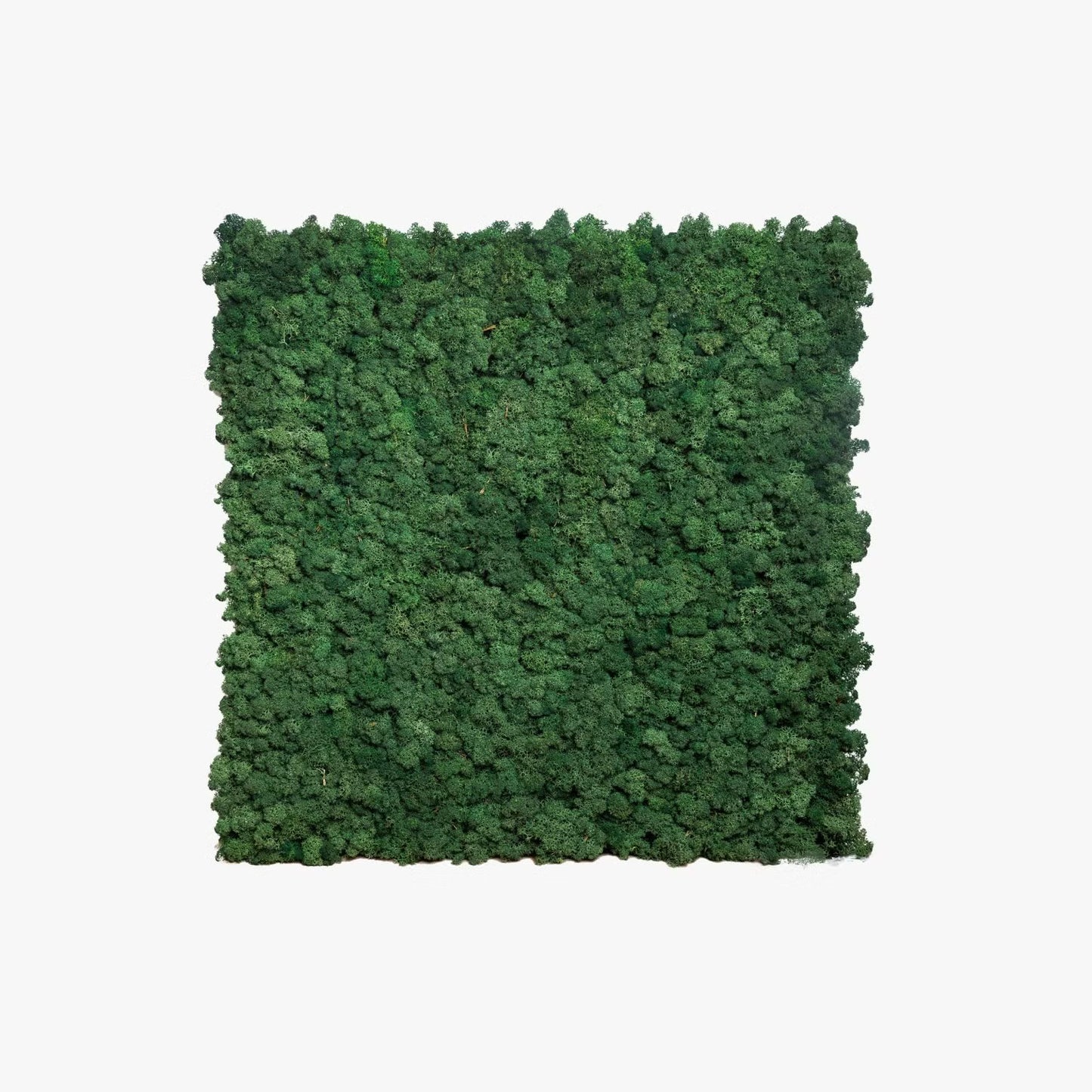 PANNELLO DI MUSCHIO DECORATIVO