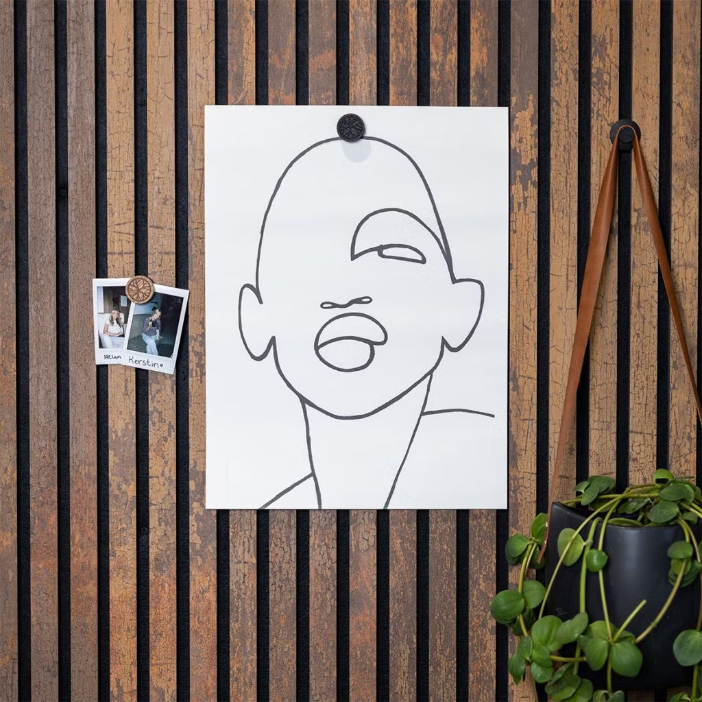 Magneti per Poster