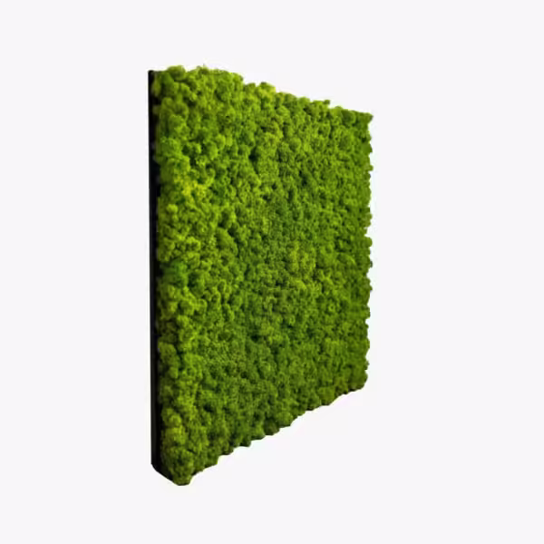 PANNELLO DI MUSCHIO DECORATIVO - immagine 2