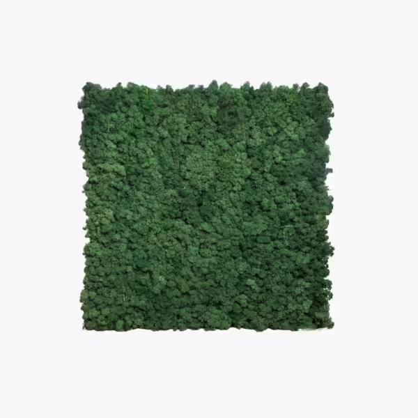 PANNELLO DI MUSCHIO DECORATIVO - immagine 3