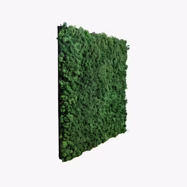 PANNELLO DI MUSCHIO DECORATIVO - immagine 4