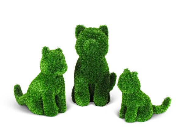 Gatto seduto in erba sintetica